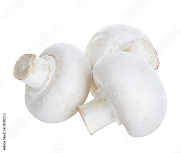 Fototapeta Champignon mushrooms isolated on white background