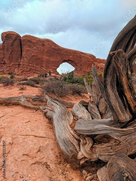 Obraz Beautiful Arches National Park in Moab Utah 