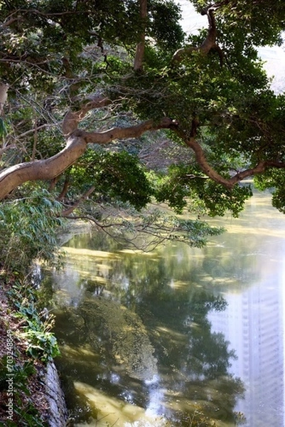 Fototapeta 冬の浜離宮恩賜庭園あたり