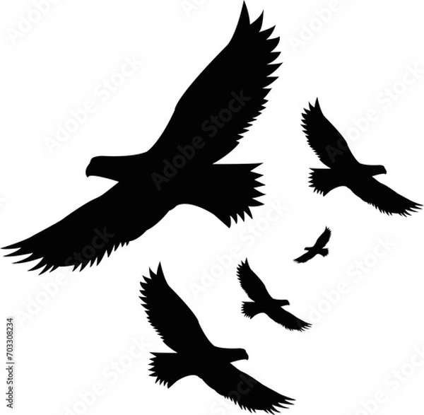 Obraz Silhouette Illustration