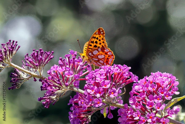 Obraz Dostojka latonia