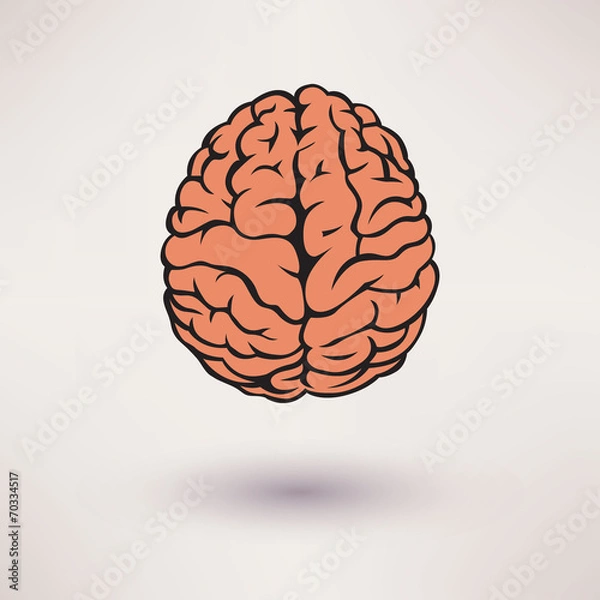 Fototapeta Brain icon. On the white background. Vector illustration.