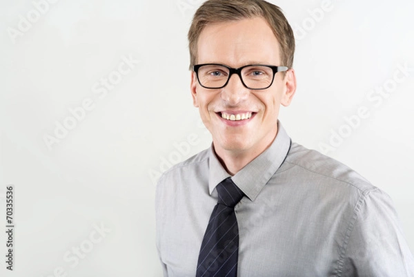 Obraz Portrait of business man