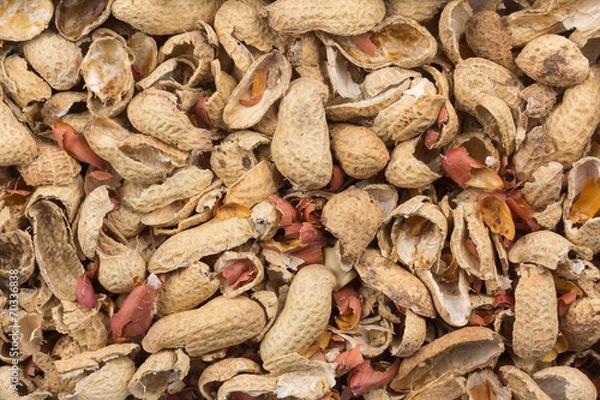 Fototapeta peanut hulls