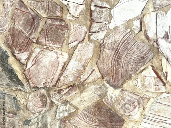 Fototapeta bark texture