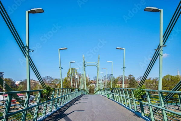 Obraz Pedestrian bridge over the river