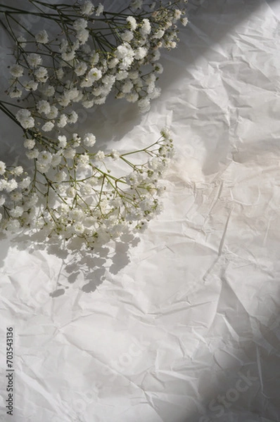 Obraz white background with nice flowers