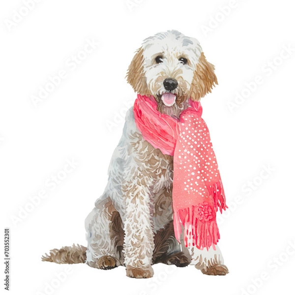Fototapeta cute labradoodle dog wearing scarf, graphic resources with transparent background, animal watercolor drawing