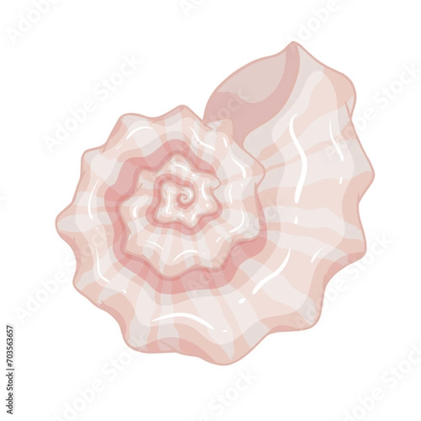 Fototapeta Colorful sea shell.Decorative element for summer decorations.vector graphic.