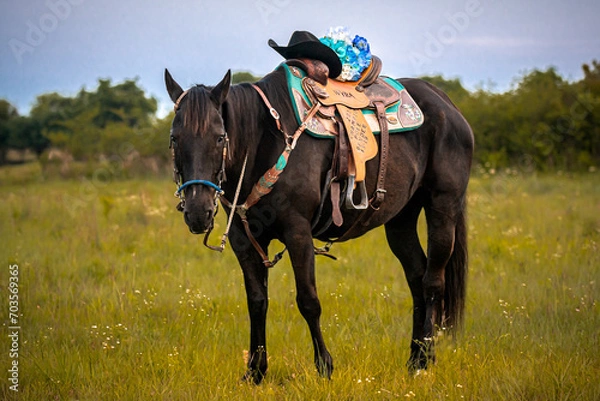 Obraz Horse with Saddle
