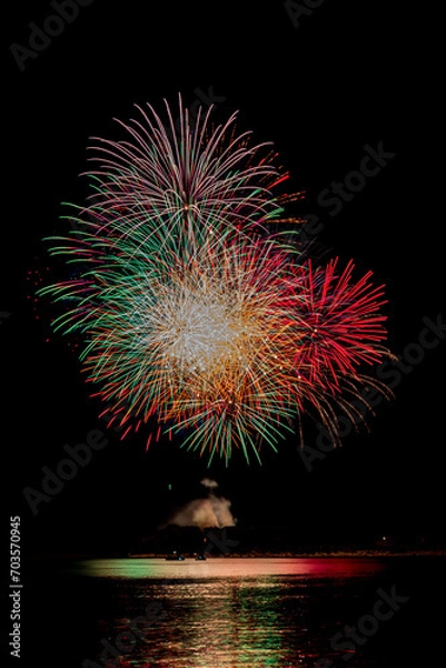 Obraz Fireworks over Water