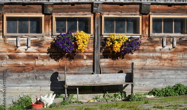 Fototapeta façade de basse-cour
