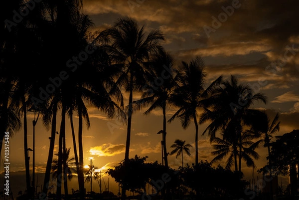 Obraz Sunset Waikiki