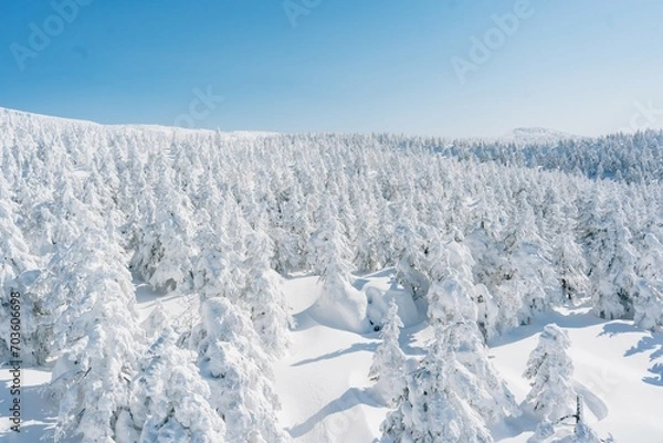 Obraz 蔵王の樹氷やスキー場の風景