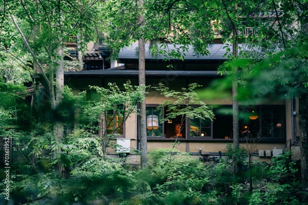 Obraz 仙仁温泉岩の湯の風景