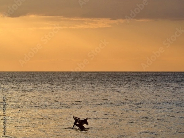 Obraz OLYMPUS DIGITAL CAMERA