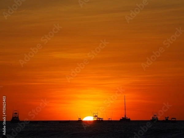 Fototapeta OLYMPUS DIGITAL CAMERA