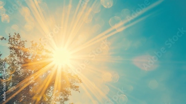 Fototapeta Sun shining through treetops with lens flare