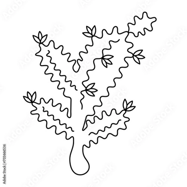 Fototapeta cactus contour drawing, outline cactus, Vector decorative planting element. 
Nature element illustration. Sketch cactus. Floral succulent plant. 
