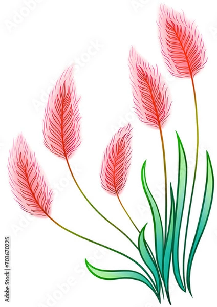 Fototapeta pink flower bunny tail grass isolated element 