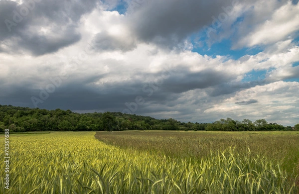 Obraz Rain in sight!