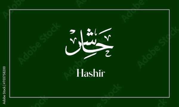 Obraz Hashir Name in  Calligraphy logo