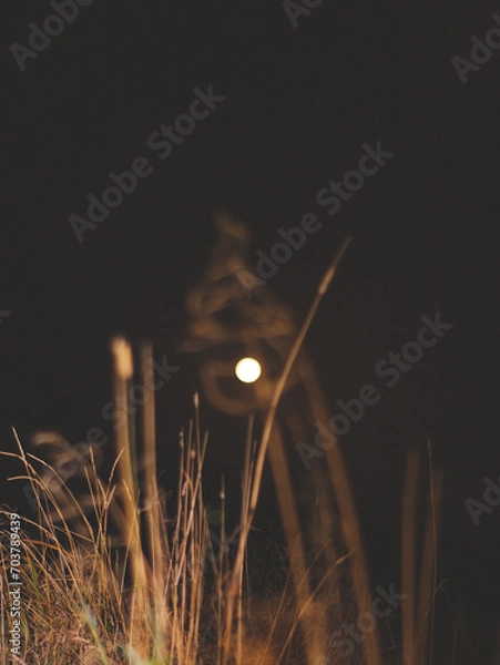 Fototapeta Yellow colored night macro landscape with full moon and grass in the foreground.