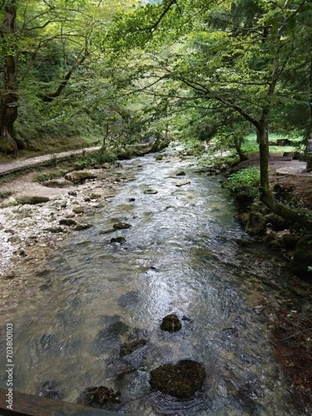 Fototapeta Landscape view of a forest creek in national park of New Athos.