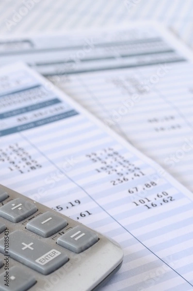 Obraz Salary payroll detail