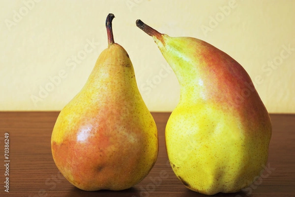 Fototapeta Two pears