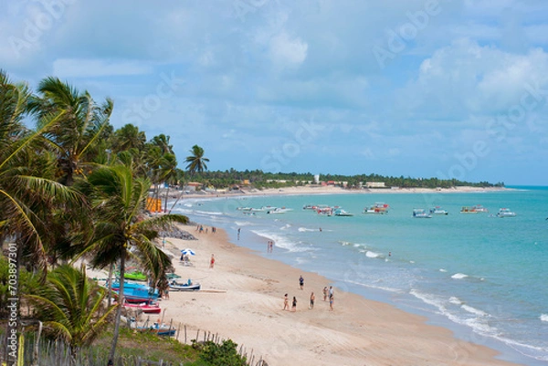 Fototapeta beach with palm trees