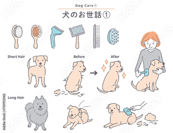 Obraz 犬のブラッシングに関するイラストセット
