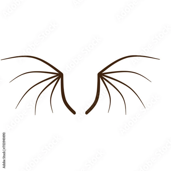 Fototapeta dragon wing bone skeleton