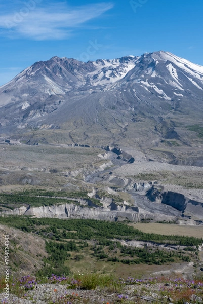 Obraz landscape with sky