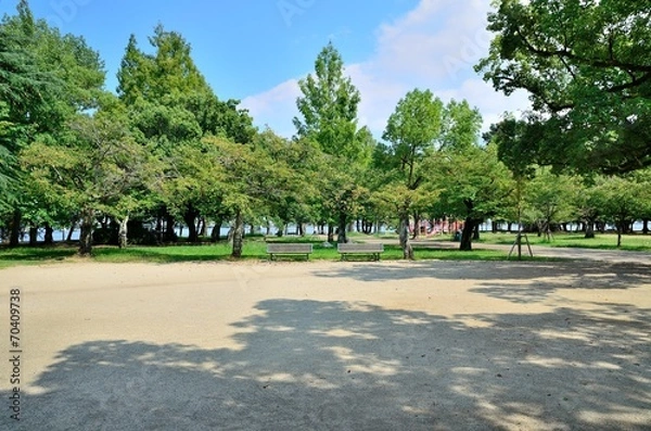 Fototapeta 公園