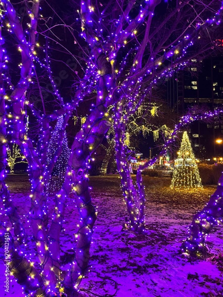 Fototapeta christmas tree lights