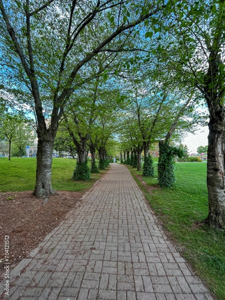 Obraz Spring alley in the park