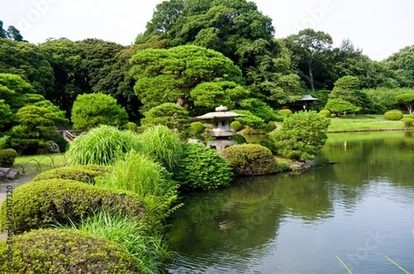 Obraz Japanese garden