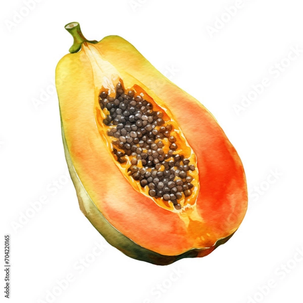 Obraz Papaya Watercolor