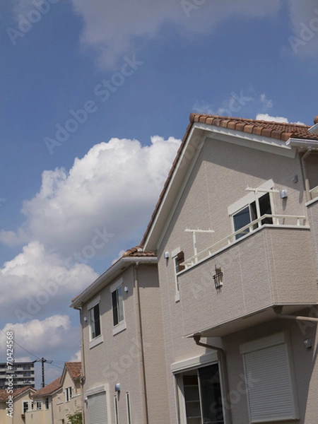 Fototapeta 新興住宅街の家並み