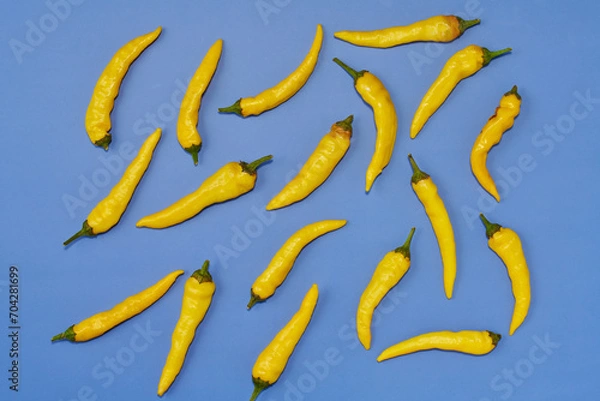 Obraz 黄色系唐辛子をランダムに複数配置した青色系背景あり真俯瞰撮影