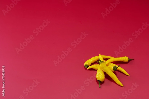 Obraz 黄色系唐辛子を複数右下に複数配置した赤色系背景あり俯瞰撮影