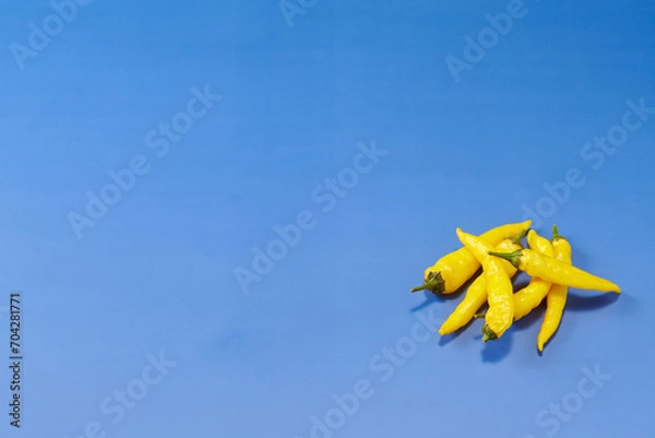Obraz 黄色系唐辛子を複数右下に複数配置した青色系背景あり俯瞰撮影