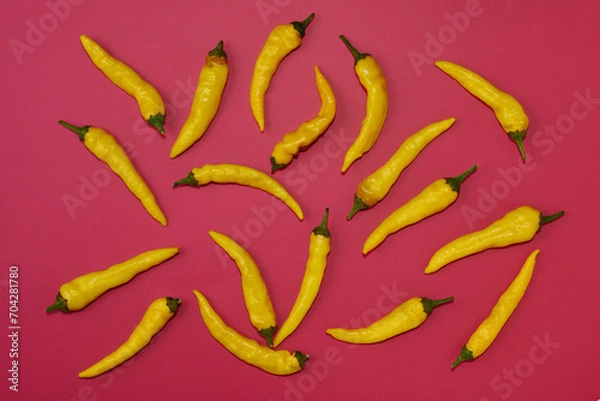 Obraz 黄色系唐辛子をランダムに複数配置した赤色系背景あり真俯瞰撮影