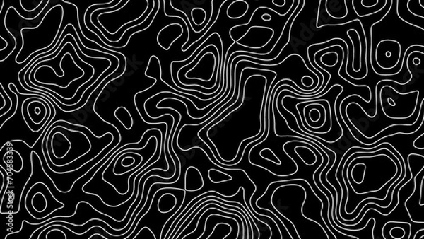Fototapeta Fractal lines background. Topographic map like abstract backdrop