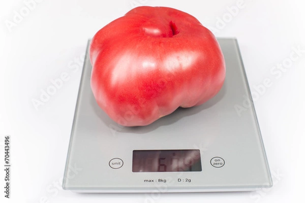 Fototapeta giant tomato