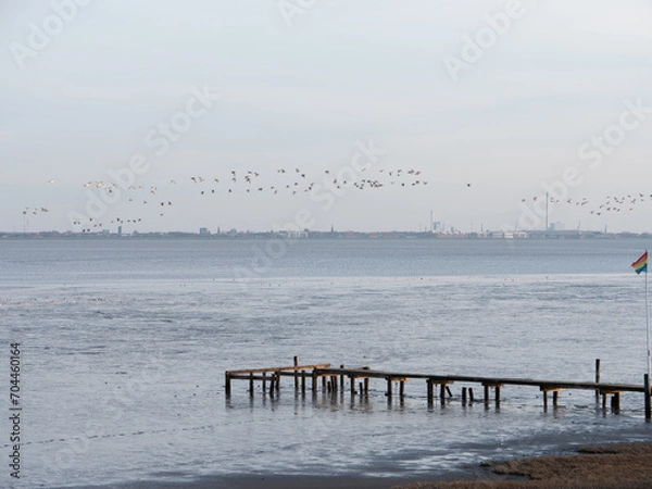 Obraz Strand mit Vögeln