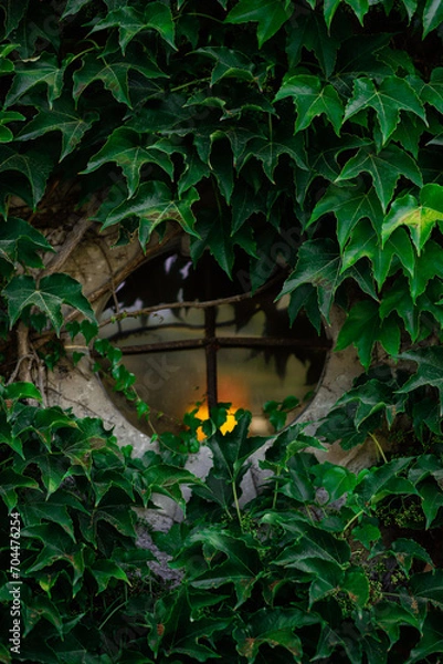 Obraz old house in the forest