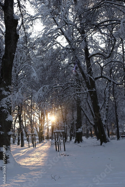Obraz winter in the park