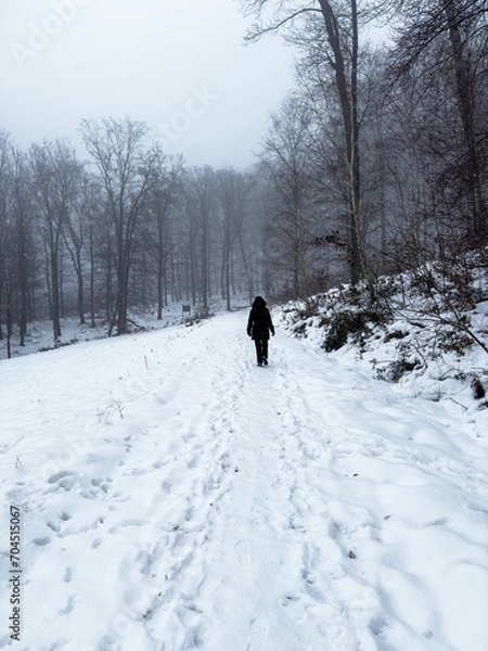 Fototapeta Stroller in a snow-covered forest